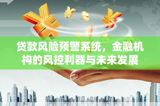 嘉禾贷款风险预警系统，金融机构的风控利器与未来发展