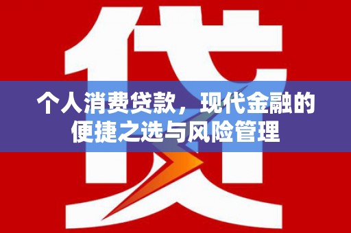嘉禾个人消费贷款，现代金融的便捷之选与风险管理