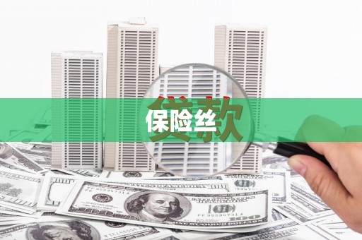 嘉禾保险丝