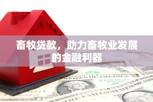 嘉禾畜牧贷款，助力畜牧业发展的金融利器