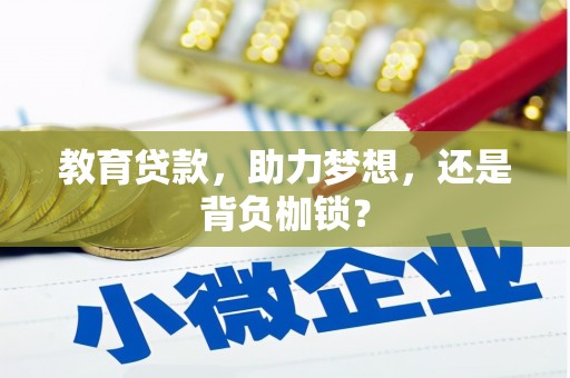 嘉禾教育贷款，助力梦想，还是背负枷锁？