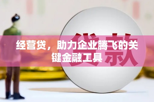 嘉禾经营贷，助力企业腾飞的关键金融工具