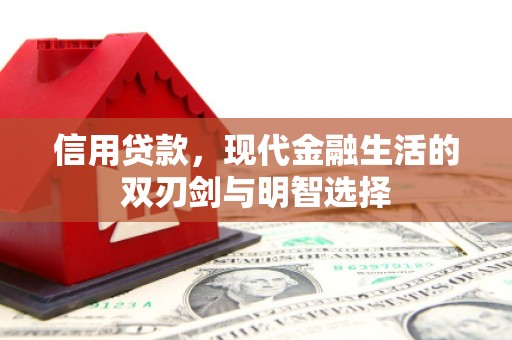 嘉禾信用贷款，现代金融生活的双刃剑与明智选择