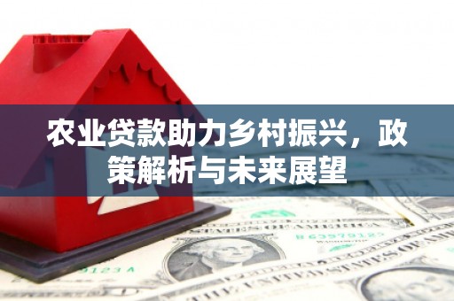 嘉禾农业贷款助力乡村振兴，政策解析与未来展望