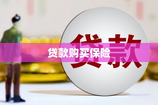 嘉禾贷款购买保险