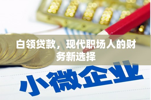 嘉禾白领贷款，现代职场人的财务新选择