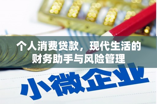 嘉禾个人消费贷款，现代生活的财务助手与风险管理