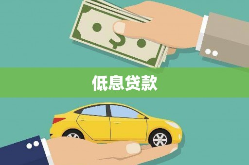 嘉禾低息贷款