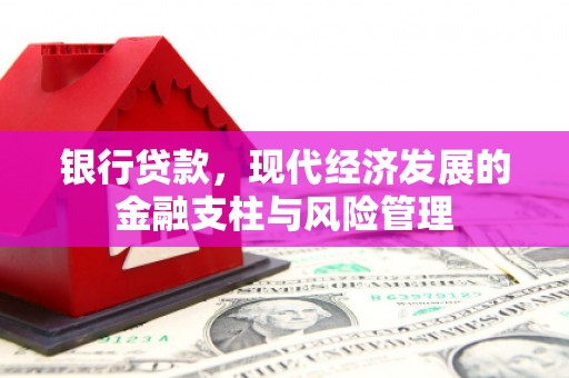 嘉禾银行贷款，现代经济发展的金融支柱与风险管理