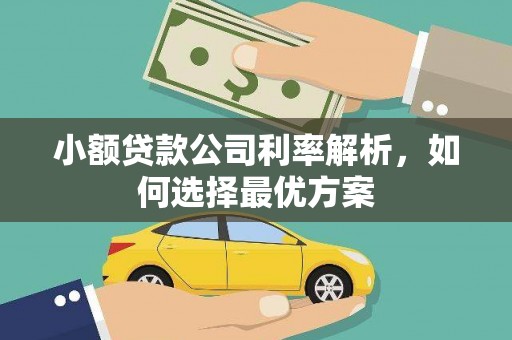 嘉禾小额贷款公司利率解析，如何选择最优方案