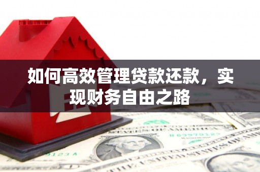 嘉禾如何高效管理贷款还款，实现财务自由之路