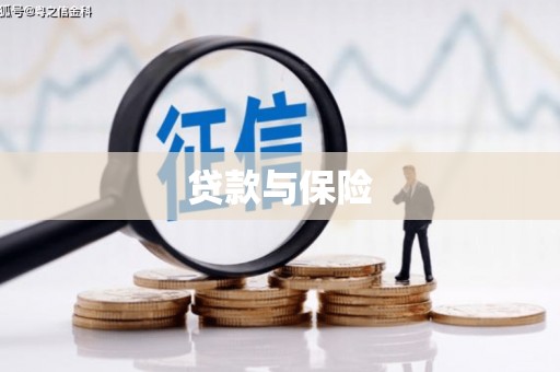嘉禾贷款与保险