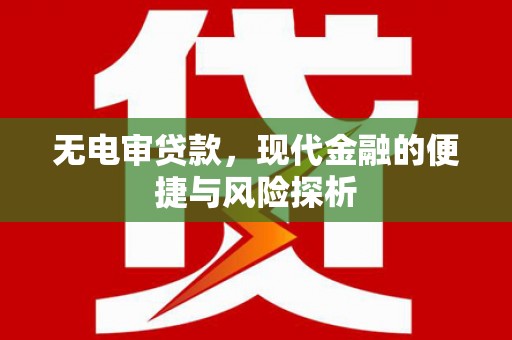 嘉禾无电审贷款，现代金融的便捷与风险探析