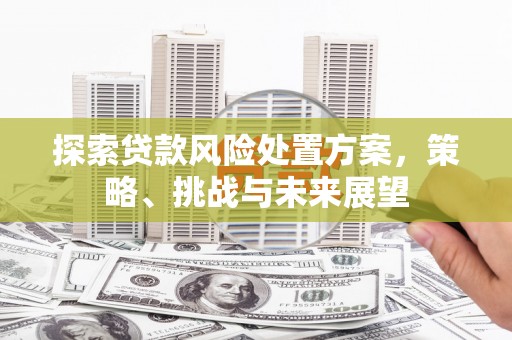 嘉禾探索贷款风险处置方案，策略、挑战与未来展望