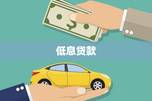 嘉禾低息贷款