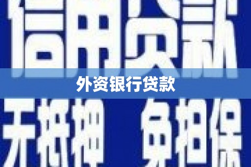 嘉禾外资银行贷款
