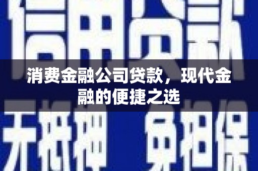 嘉禾消费金融公司贷款，现代金融的便捷之选