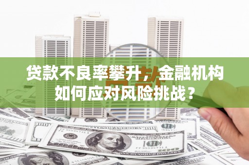 嘉禾贷款不良率攀升，金融机构如何应对风险挑战？