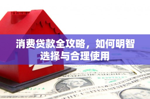 嘉禾消费贷款全攻略，如何明智选择与合理使用