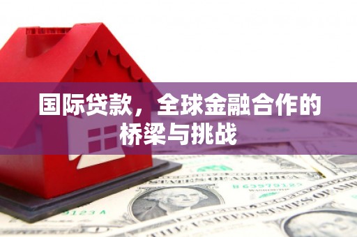 嘉禾国际贷款，全球金融合作的桥梁与挑战