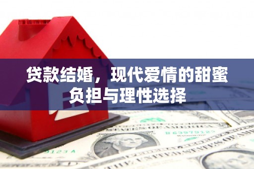 嘉禾贷款结婚，现代爱情的甜蜜负担与理性选择