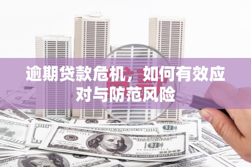 嘉禾逾期贷款危机，如何有效应对与防范风险