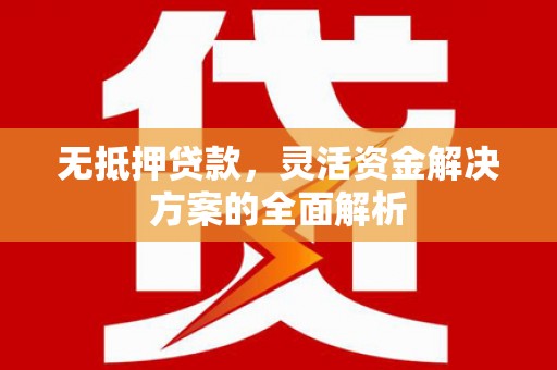 嘉禾无抵押贷款，灵活资金解决方案的全面解析