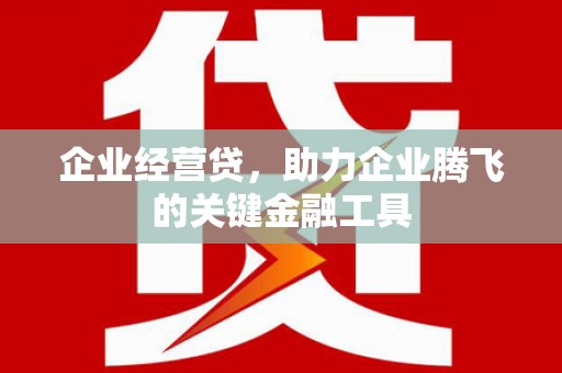 嘉禾企业经营贷，助力企业腾飞的关键金融工具