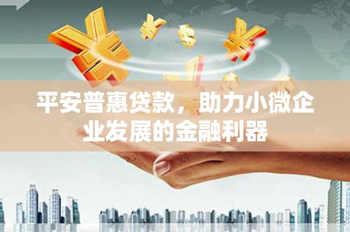 嘉禾平安普惠贷款，助力小微企业发展的金融利器