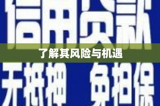 嘉禾了解其风险与机遇