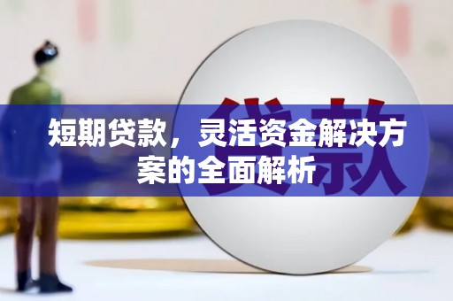 嘉禾短期贷款，灵活资金解决方案的全面解析