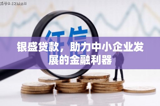 嘉禾银盛贷款，助力中小企业发展的金融利器