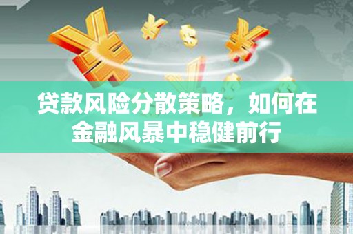 嘉禾贷款风险分散策略，如何在金融风暴中稳健前行