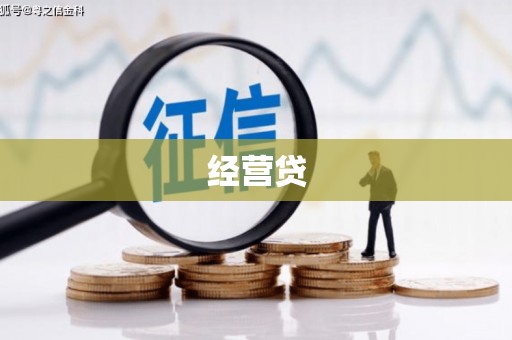 嘉禾经营贷