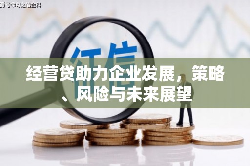 嘉禾经营贷助力企业发展，策略、风险与未来展望