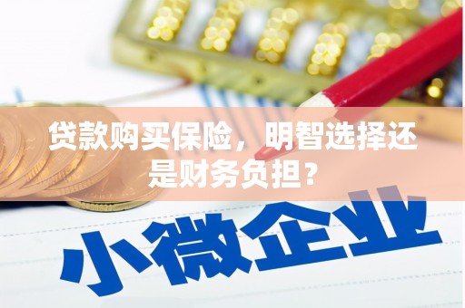 嘉禾贷款购买保险，明智选择还是财务负担？