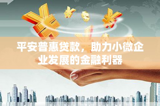 嘉禾平安普惠贷款，助力小微企业发展的金融利器