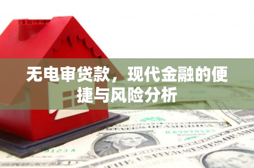 嘉禾无电审贷款，现代金融的便捷与风险分析