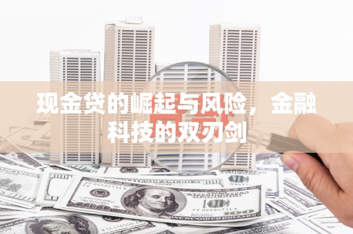 嘉禾现金贷的崛起与风险，金融科技的双刃剑