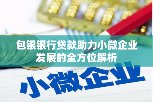 嘉禾包银银行贷款助力小微企业发展的全方位解析 嘉禾包银银行贷款助力小微企业发展的全方位解析