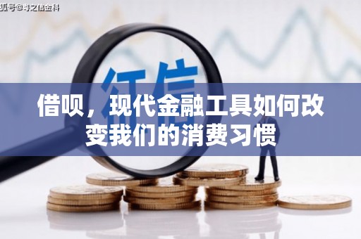 嘉禾借呗，现代金融工具如何改变我们的消费习惯