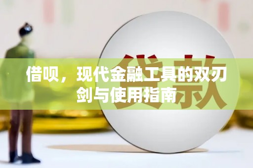 嘉禾借呗，现代金融工具的双刃剑与使用指南