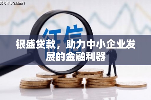 嘉禾银盛贷款，助力中小企业发展的金融利器