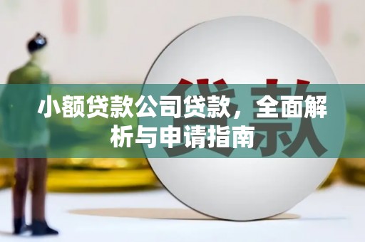 嘉禾小额贷款公司贷款，全面解析与申请指南