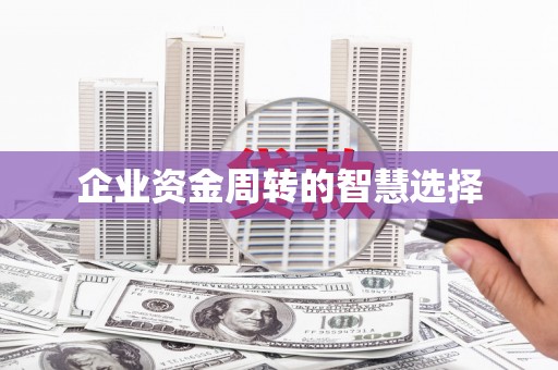 嘉禾企业资金周转的智慧选择