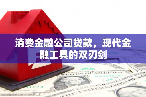 嘉禾消费金融公司贷款，现代金融工具的双刃剑