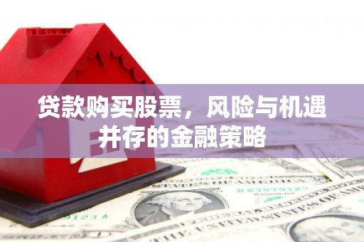 嘉禾贷款购买股票，风险与机遇并存的金融策略
