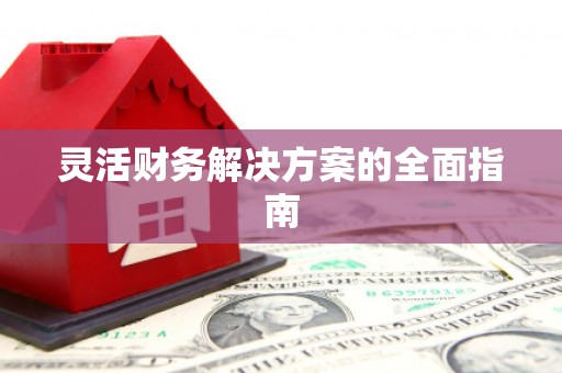 嘉禾灵活财务解决方案的全面指南
