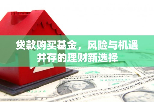 嘉禾贷款购买基金，风险与机遇并存的理财新选择