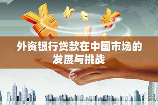 嘉禾外资银行贷款在中国市场的发展与挑战